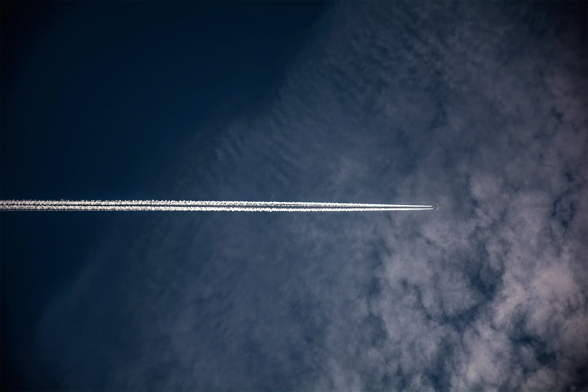 How To Fetch Data In React From REST API