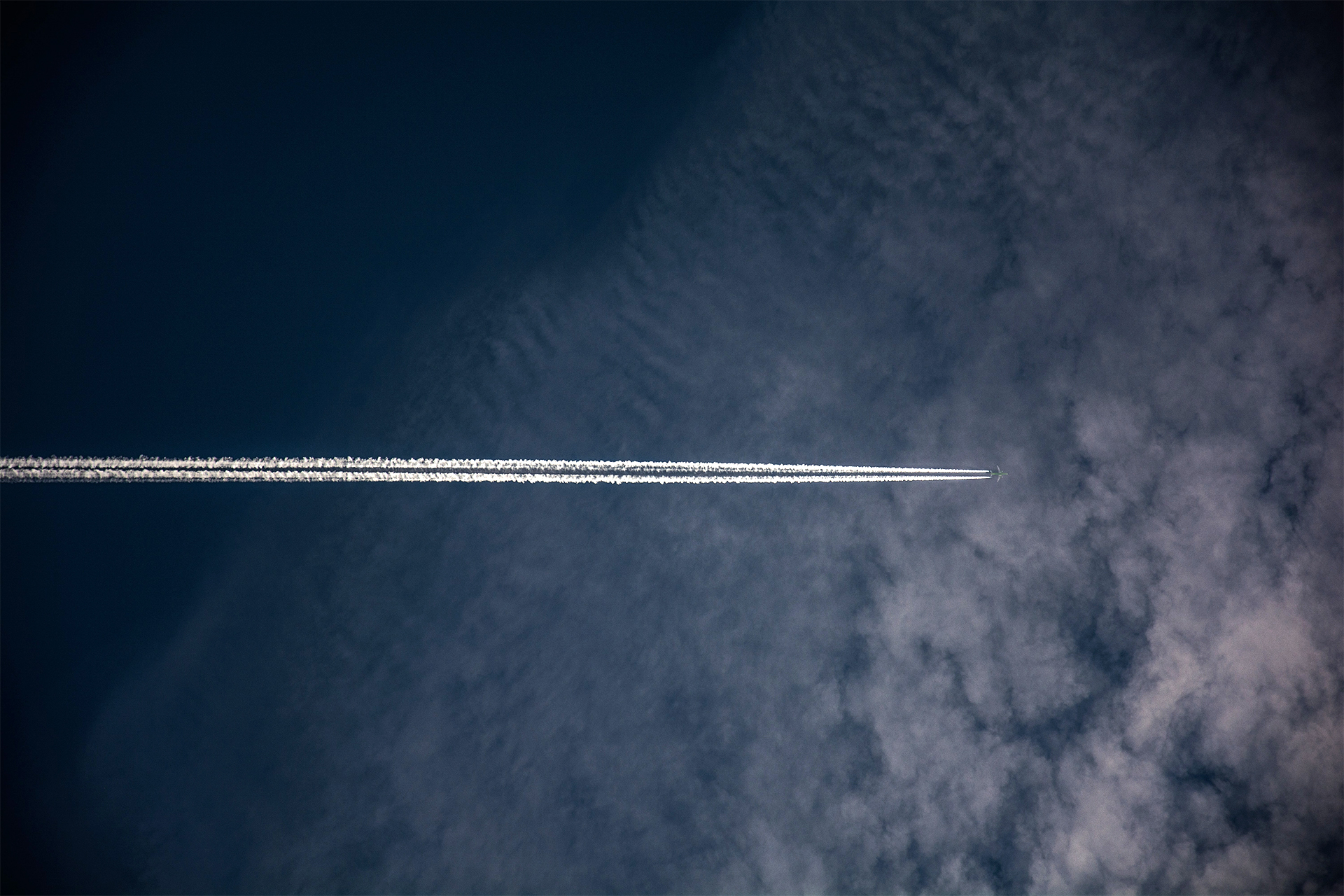 How To Fetch Data In React From REST API